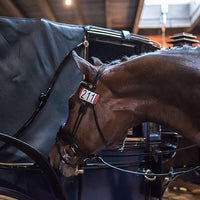 Kettner Crystal Snap Bridle Number