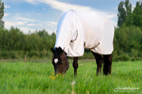 Dominick Fly Rug