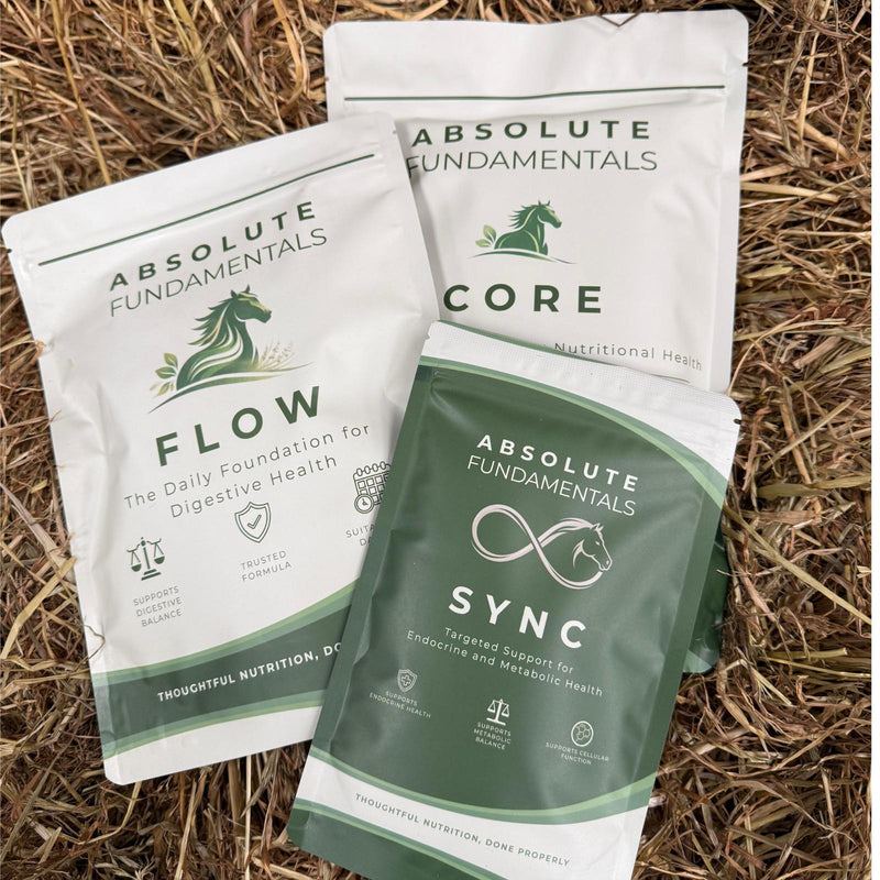 CORE + FLOW + SYNC