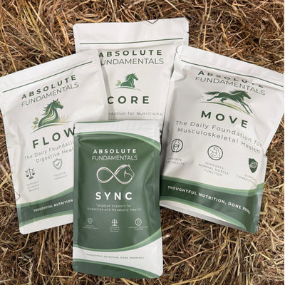 CORE + FLOW + MOVE + SYNC