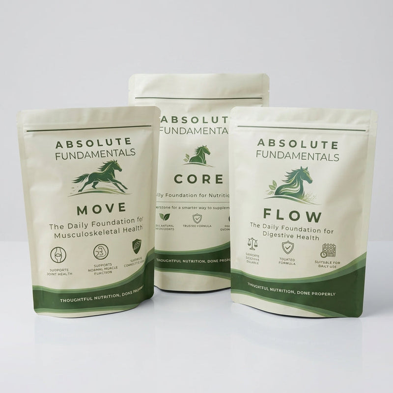 CORE + MOVE + FLOW