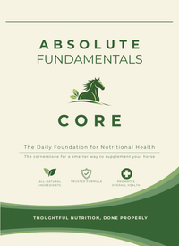 CORE + MOVE + FLOW