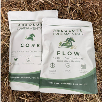 CORE + FLOW