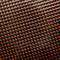 Scharf Freedom Custom Girth - Orange