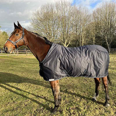 Dominick Turnout Rug Lite Plus (150g)