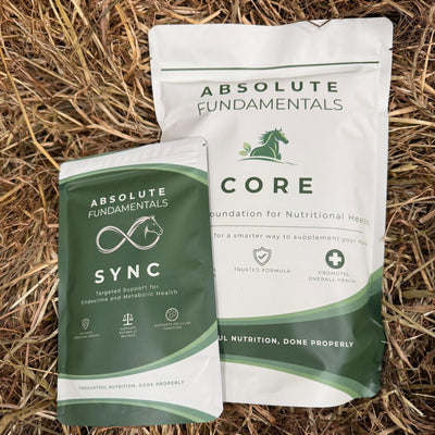 CORE + SYNC