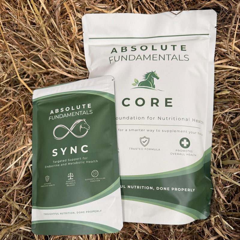 CORE + SYNC