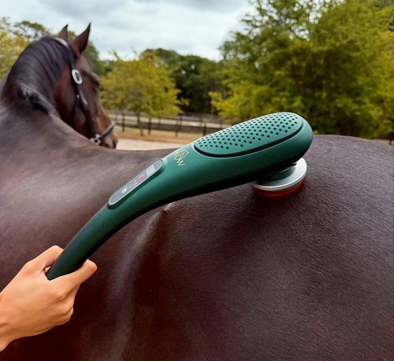 Non-Invasive Support
