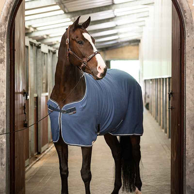 Dominick Cooler Rug