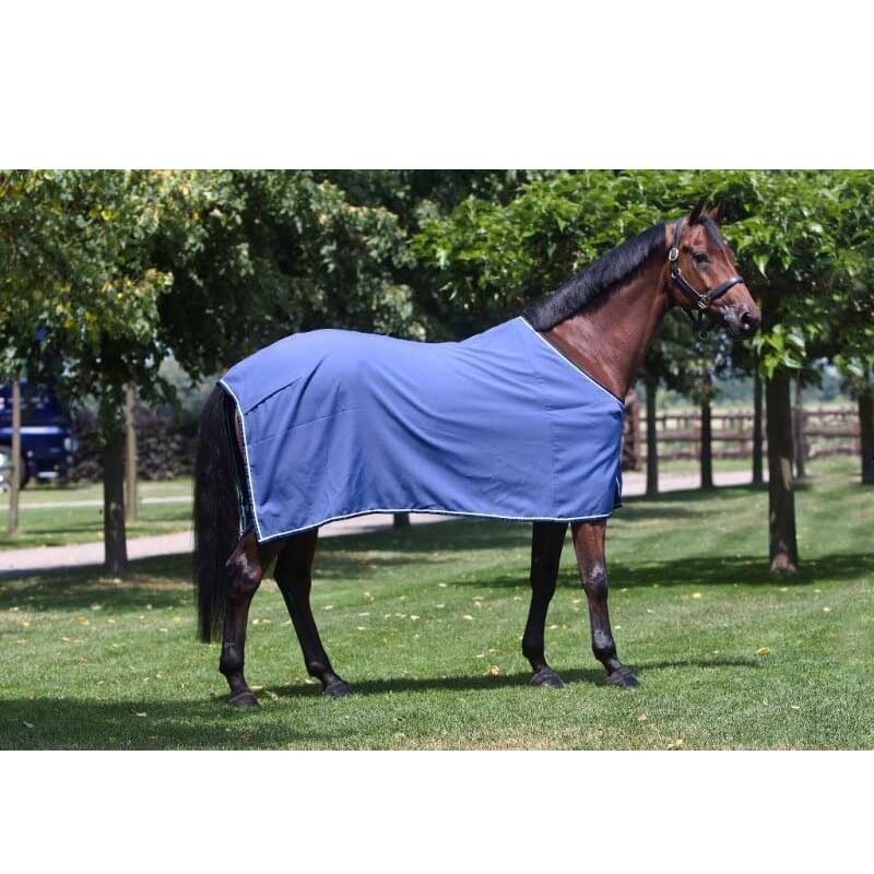 Dominick Cooler Rug