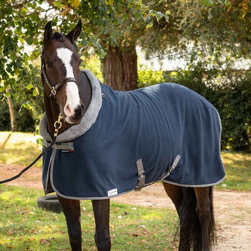 Dominick Cosy Collar Fleece Rug