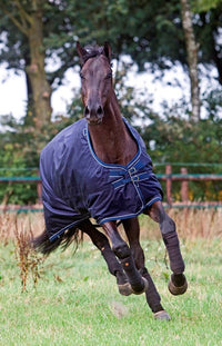 Dominick Turnout Rug Polo (200g)