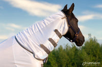 Dominick Fly Rug