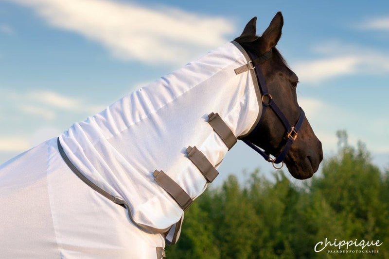 Dominick Fly Rug