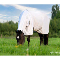 Dominick Fly Rug