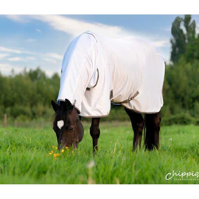 Dominick Fly Rug