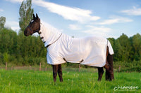 Dominick Fly Rug