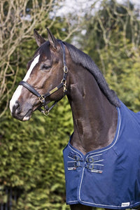 Dominick Stable Rug Lite Plus (200g)