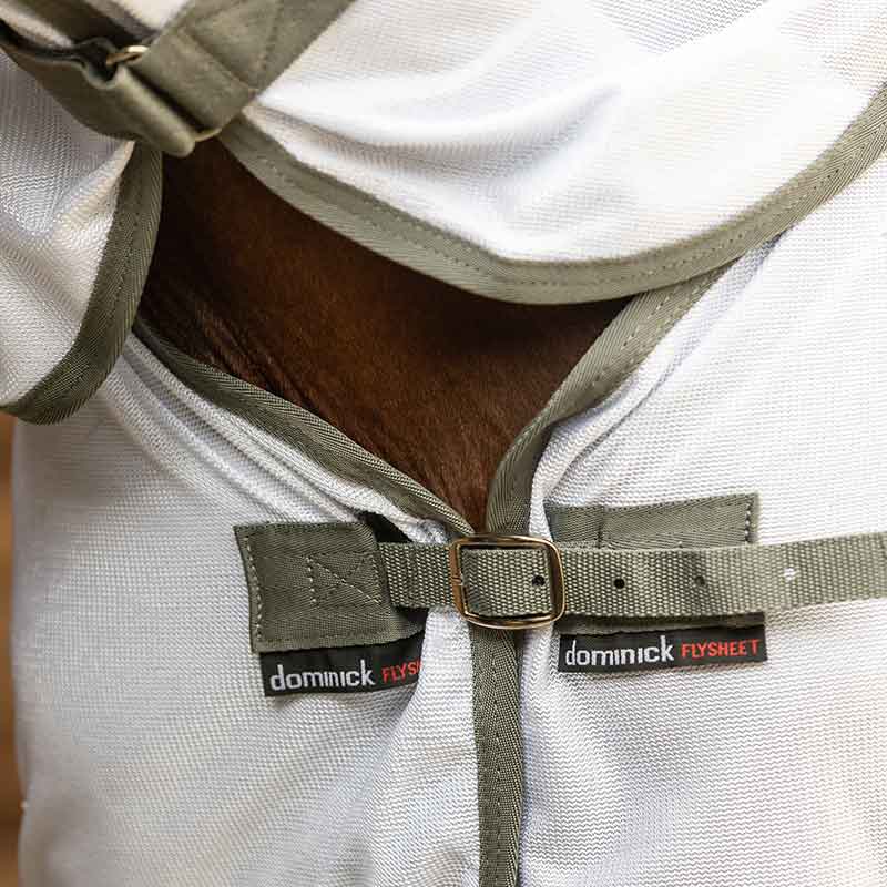 Dominick Fly Rug