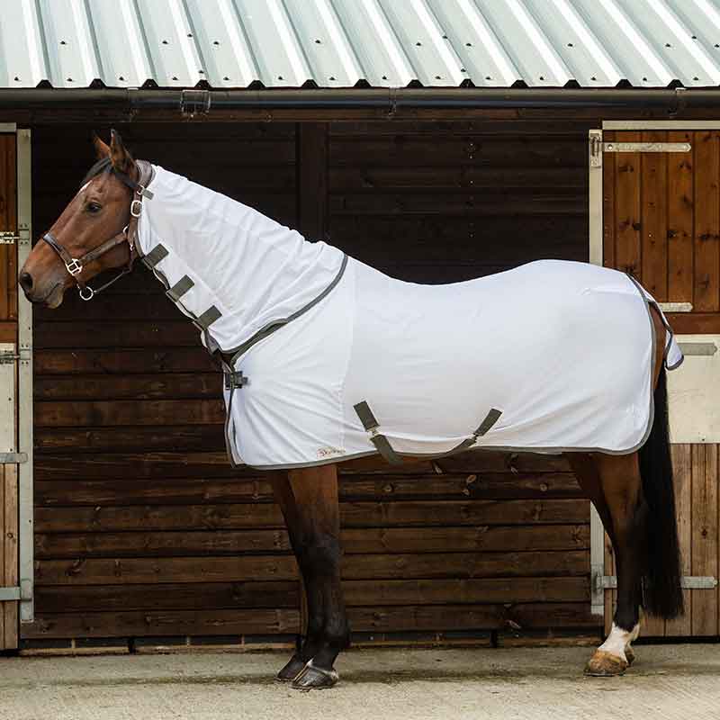 Dominick Fly Rug