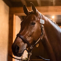 Kettner Snap Bridle Number