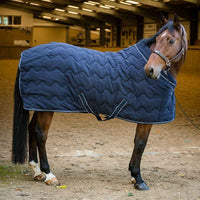Dominick Puffed Fleece Rug (250g)