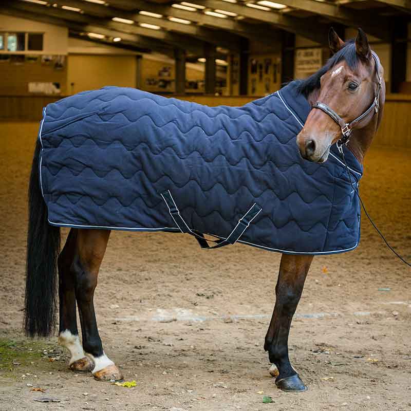 Dominick Puffed Fleece Rug (250g)