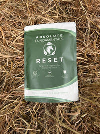 RESET